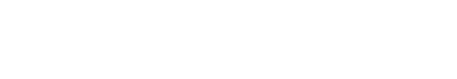 Sydney Swans