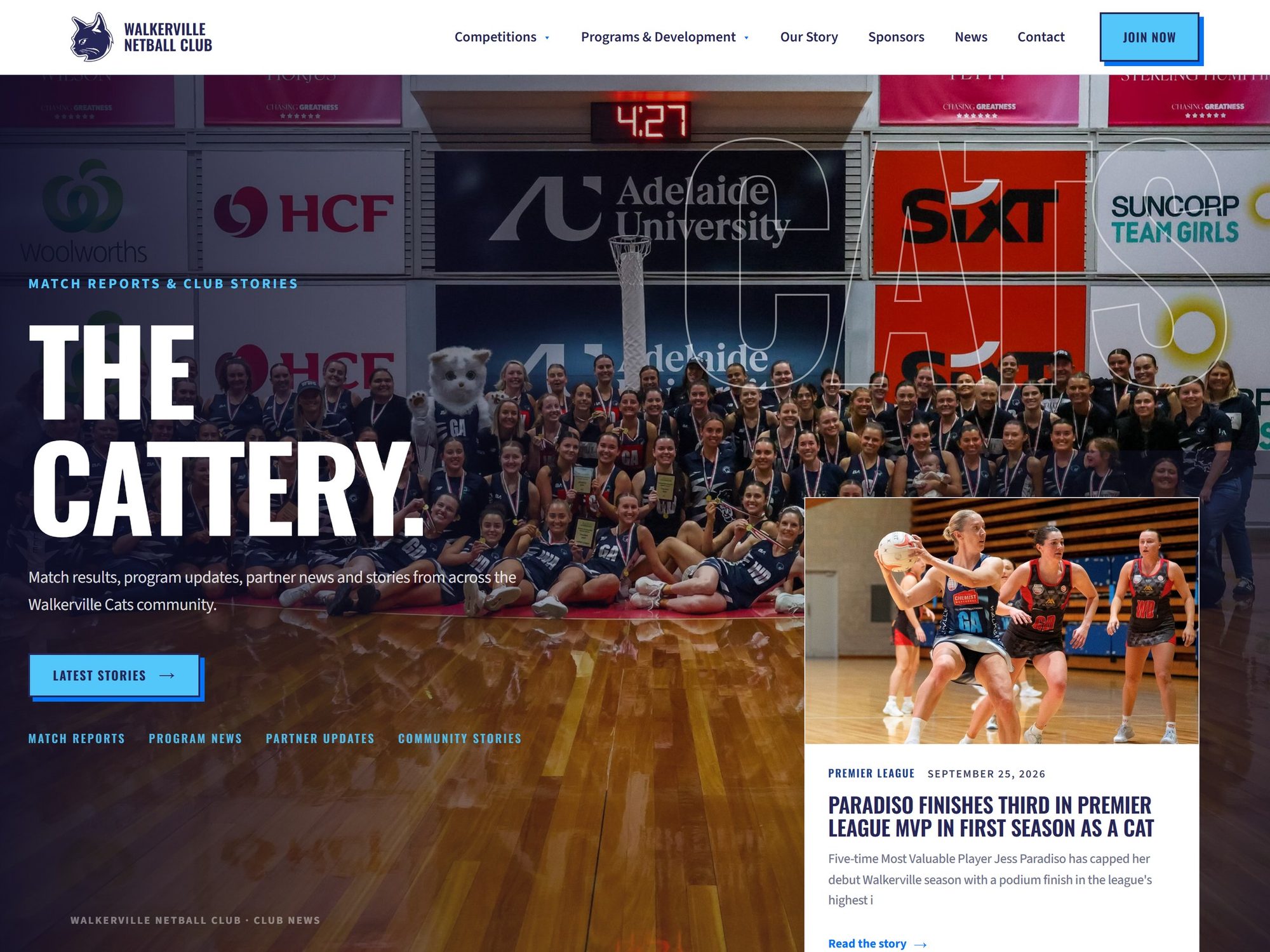 The Cattery news page